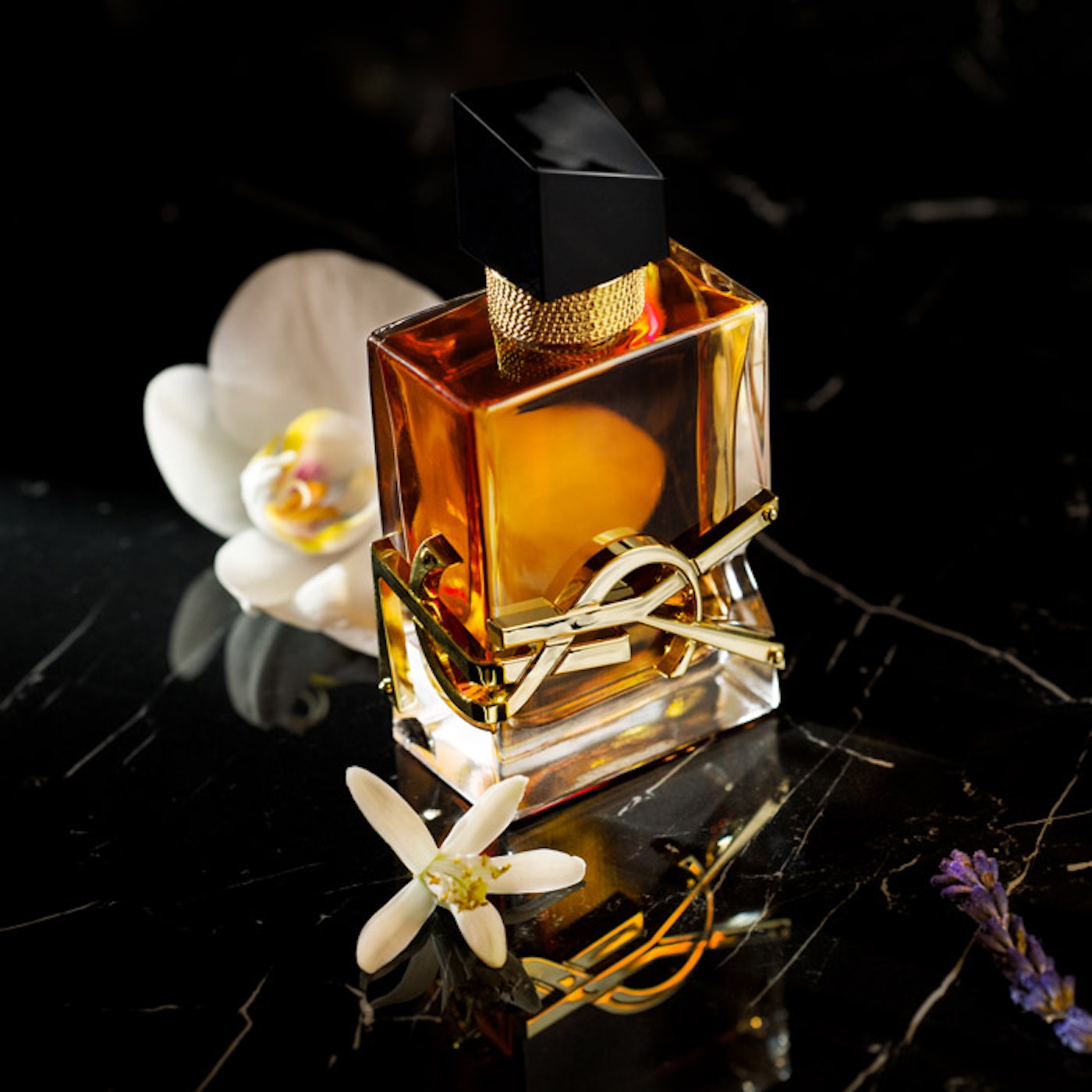 Yves Saint Laurent fragrance